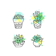 Succulent illustration. Vector cactus hand drawn set with paint splashes. Cacti and in door plants in pots.