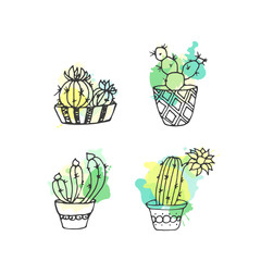 Succulent illustration. Vector cactus hand drawn set with paint splashes. Cacti and in door plants in pots.