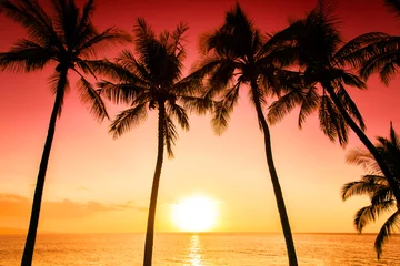 Papier Peint photo Lavable Mer / coucher de soleil Coucher de soleil sur l& 39 île tropicale avec silhouette de palmiers, arrière-plan chaud de vacances d& 39 été