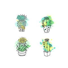Succulent illustration. Vector cactus hand drawn set with paint splashes. Cacti and in door plants in pots.