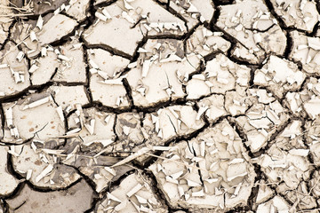 cracked earth drought  dry riverbed disaster