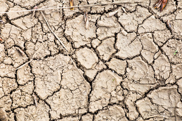 cracked earth drought  dry riverbed disaster