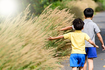 Hand touch grass flower beside the road