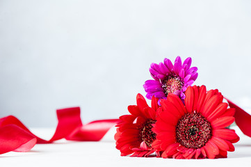 Colorful gerbera flowers with red tape on defocused background