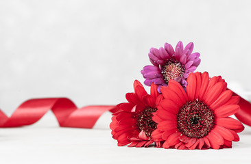 Colorful gerbera flowers with red tape on defocused background