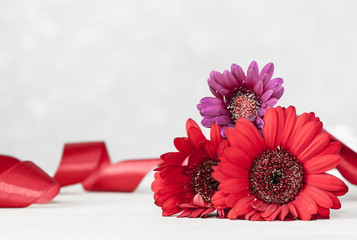 Colorful gerbera flowers with red tape on defocused background