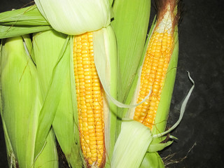 Maize the corn in Macro © drpgayen