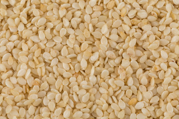 Closeup of lots of sesame seeds