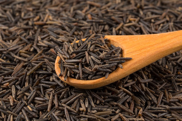 Wild brown rice in spoon