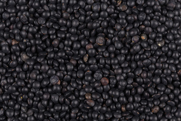 black lentils background closeup