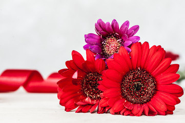 Colorful gerbera flowers with red tape on defocused background