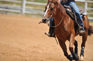 A front view of a rider and horse running ahead in the dust.