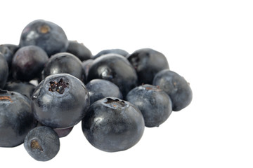 blueberries on a white background