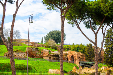  Ruins of Roman Forum. Rome, Italy.