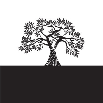 Vector Black Olive Tree.