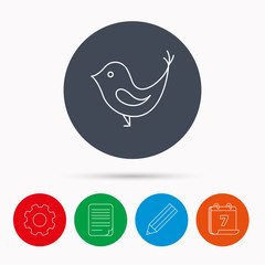 Bird with beak icon. Social media concept sign.