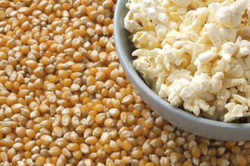 corn grains with cooked popcorn