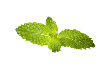 mint leaves
