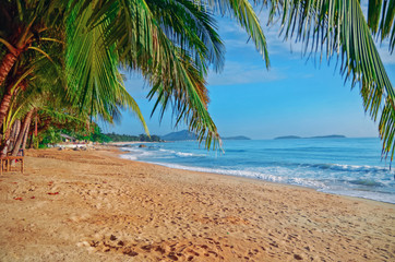 Fototapeta na wymiar Panoramic view of tropical beach with coconut palm trees. Koh Samui, Thailand