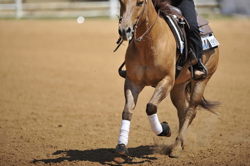Obraz premium A front view of a rider and horse running ahead