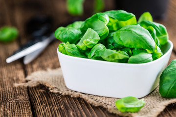Fresh Basil (close-up shot)