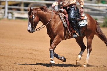A side view of a rider and horse sliding ahead in the dust.