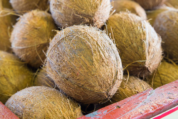 Coconuts in tropical produce market