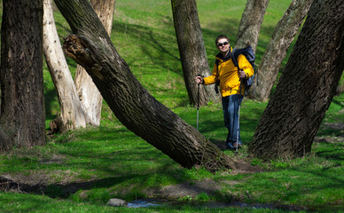 tourist man with the phone goes through the forestry01