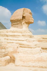 side of Sphinx in Egypt