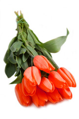 Beautiful bouquet of orange tulips