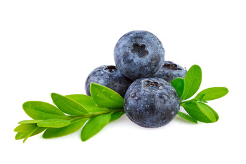 Blueberries over white, organic plant with leaves.