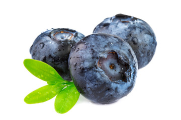 fresh blueberries isolated on white