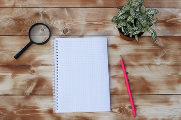 Magnifying glass, plant with financial instruments on a wooden table