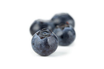 black currant berries