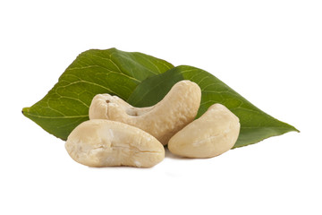 cashew with leaves