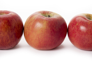 row of fruit