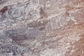 Rock background texture