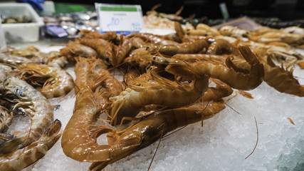 the market - full colors