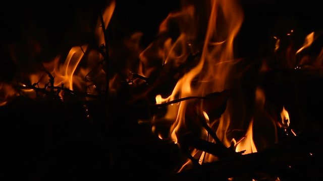 Closeup of campfire with burning log wood and twigs at night - Slow motion.