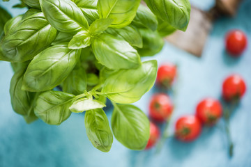 Fresh basil leaves and tomatoes