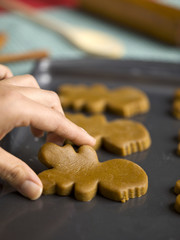 close-up of uncooked gingerbread cookies.