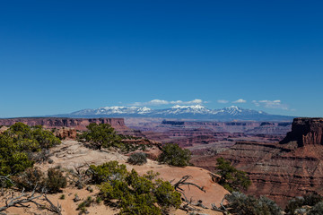 Utah-Canyonlands National Park-Island in the Sky District. This area of Island in the Sky affords one spectacular views of the Manti la Sal Mountains and the White Rim Road below