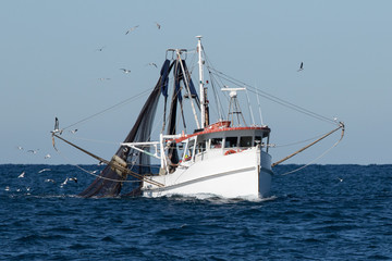 Fishing Trawler at Sea, Port Stephens, NSW, Australia