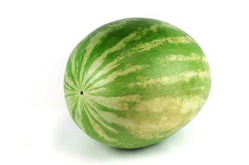 single watermelon on white background