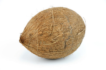 whole coconut on white background
