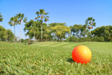 Golf ball on green with beautiful nature scene golf course backg