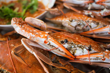 baked sea crab and seafood sauce - obrazy, fototapety, plakaty