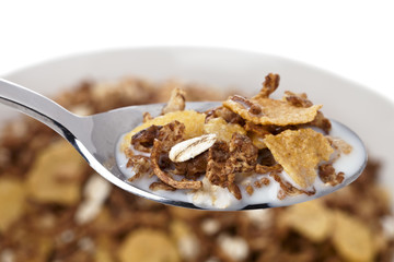 cornflakes in spoon.