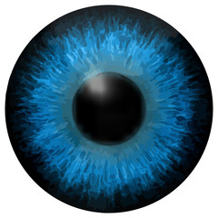 Eye iris vector texture