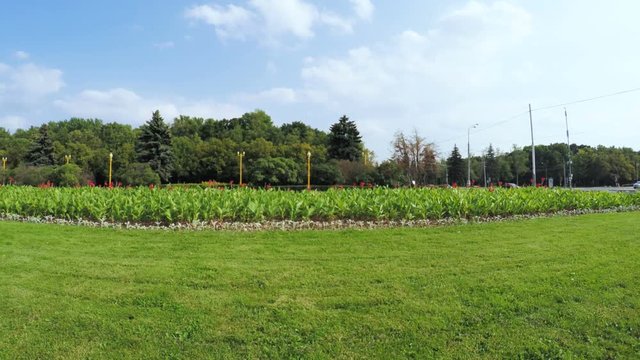 Flower Garden in city park
